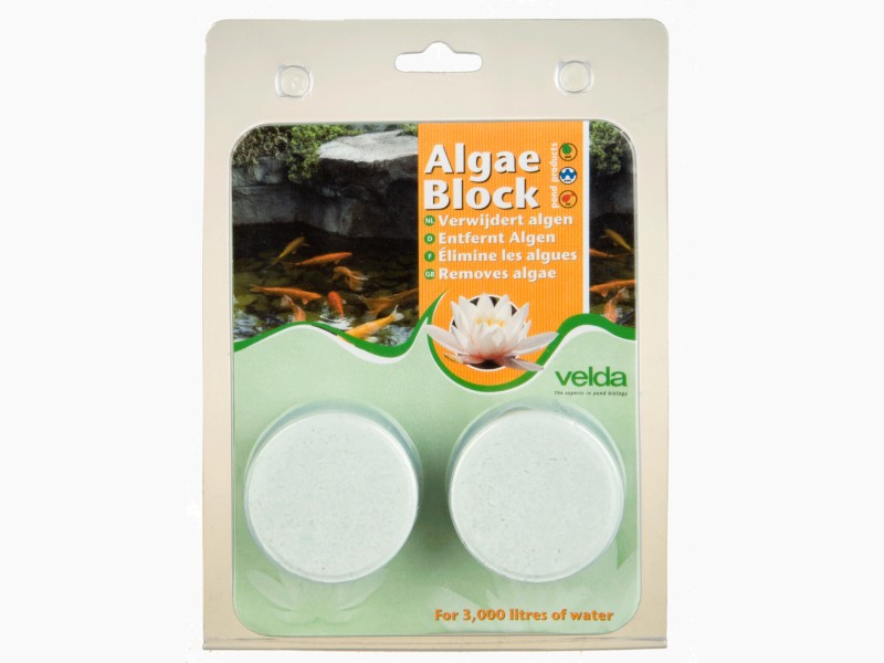 Algaírtó tabletta Algae Block