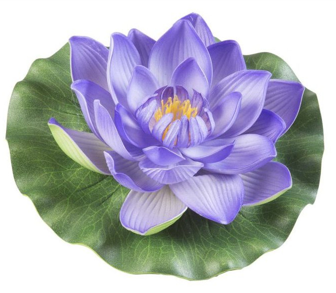 Lótusz lila 17 cm, dekor Velda