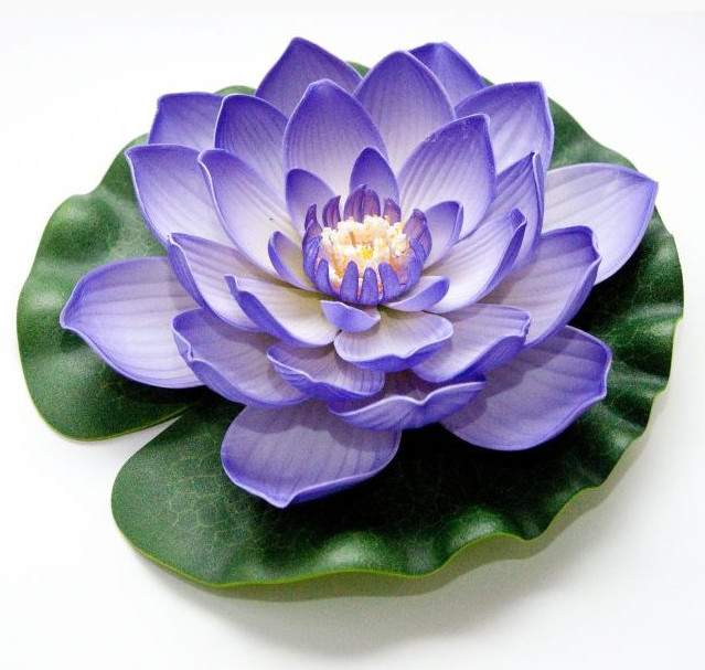 Lótusz lila 20 cm, dekor Velda