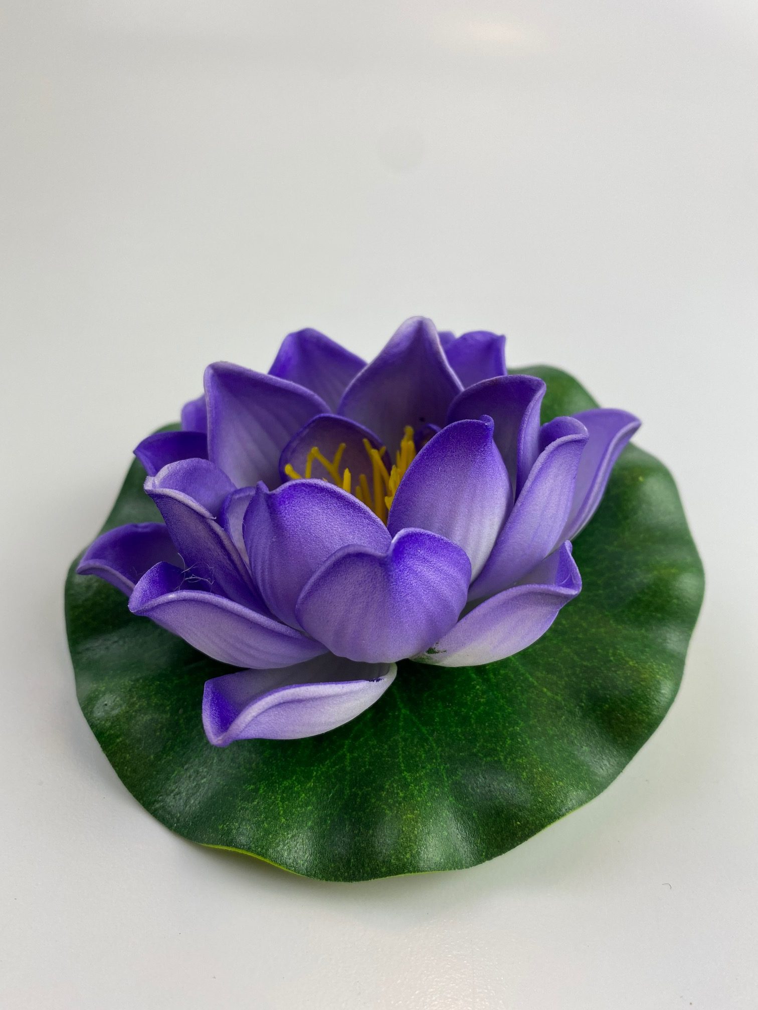 Lótusz lila 10 cm, dekor Velda