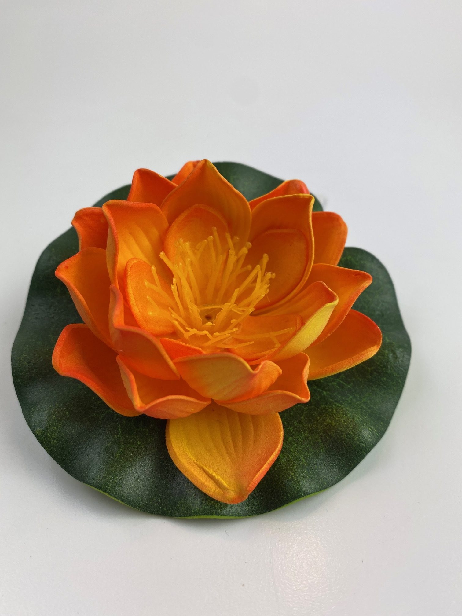 Lótusz narancs 10 cm, dekor Velda