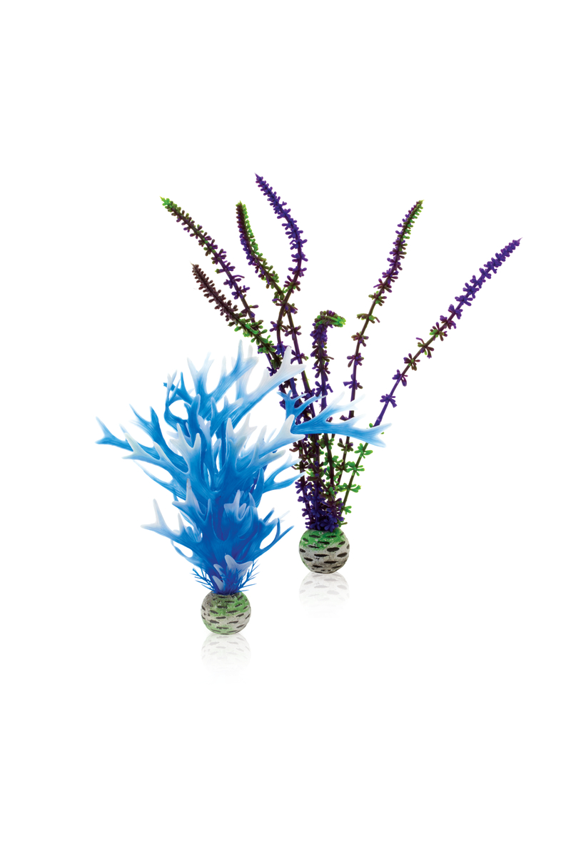 Akváriumi növény dekor, kék/lila Oase biOrb Plant set M blue & purple