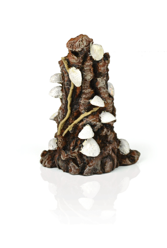 Akváriumi dekor, hélyak a kérgen, fehér Oase biOrb Shells on bark ornament white