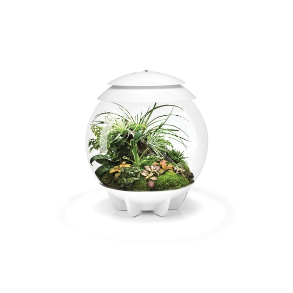 Terrárium, Oase biOrb AIR 30, all in one terrárium fehér