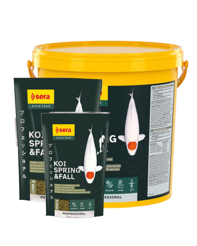 koi-tap-osz-tavasz-sera-6