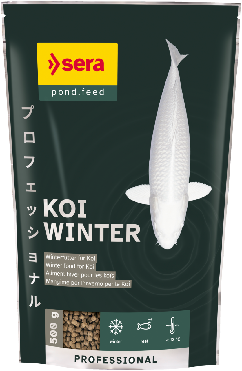 koi-tap-teli-winter-sera