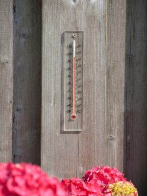 Kerti hőmérők