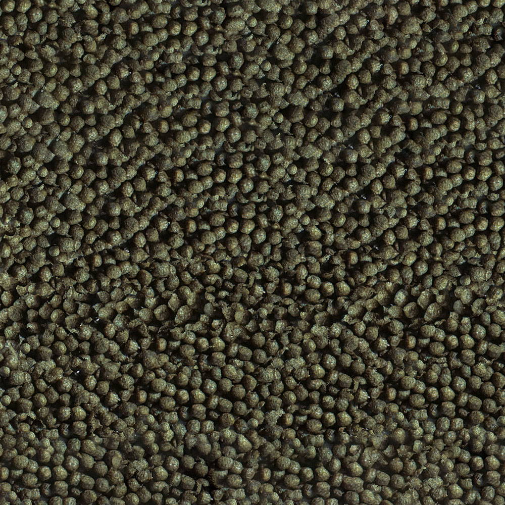 aranyhaltap-szinfokozo-goldi-color-sera-2