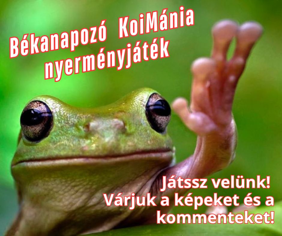 békanapozó nyereményjáték