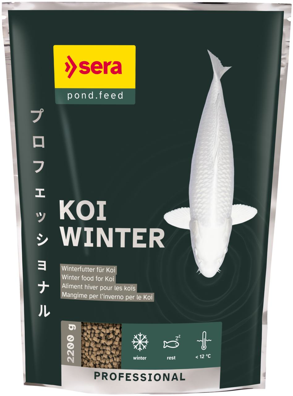 koi-tap-teli-winter-sera-2