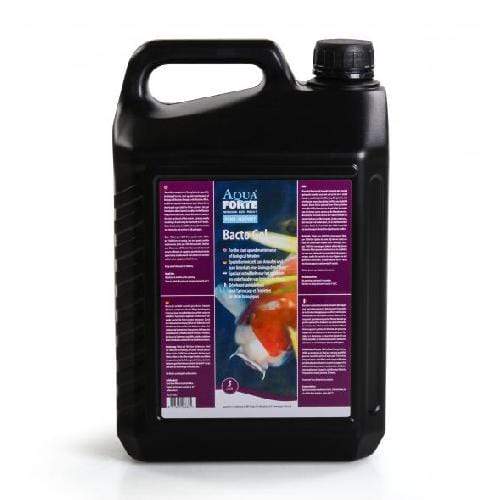 szuroindito-bakterium-aquaforte-bacto-gel-2